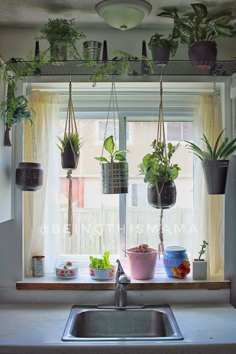 Plant Shelf Diy, Kitchen Window Plants, Window Plant Shelf, Indoor Plant Shelves, Shelf Diy, Plant Window, Window Shelves, Window Plants, Plant Room