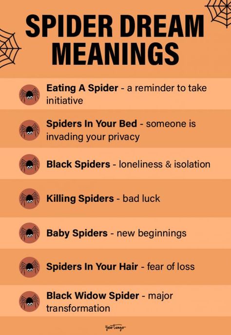 Spider Dream Meanings & What Different Types Of Spiders Symbolize | YourTango Spiders Meaning, Dream Interpretation Symbols, Killing Spiders, Facts About Dreams, Types Of Spiders, Types Of Dreams, Get Rid Of Spiders, Understanding Dreams, Dream Dictionary