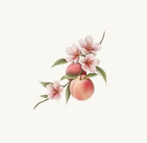 Peach Tree Flower Tattoo, Peach Blossoms Tattoo, Peach Fruit Flower, Peach Tree Drawing Simple, Peaches Tattoo Ideas, Floral Fruit Tattoo, Peach Tree Tattoo Branches, Peach Branch Tattoo, Peach Tattoo Design