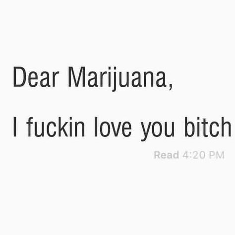 stoner quotes 420 stoner high High Quotes, High Jokes, Dope Quotes, Entertaining Quotes, Doing Me Quotes, Good Quotes For Instagram, Puff And Pass, Dont Love, Funny Relatable Quotes