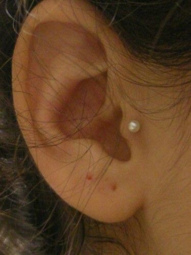 Pearl Tragus Piercing... Tragis Piercing, Double Lobe Piercing, Ear Piercings Tragus, Ear Art, Tragus Jewelry, Cartilage Jewelry, Piercing Jewellery, Cute Piercings, Tragus Piercing