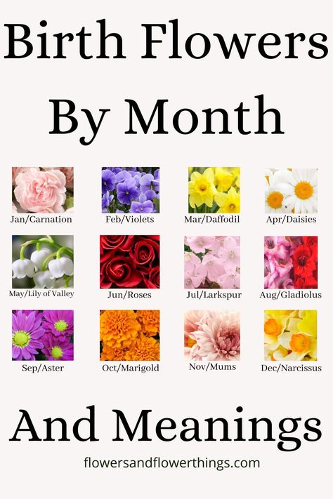 Learn about the birth flowers by month including for January, February, March, April, May, June, July, August, Septemebr, October, Novermber, and December.  The meanings associated with each of the flowers. #birthflowers #flowermeaning Gemini Flower Tattoo Birth Month, Birth Flower By Month Tattoo, Different Flowers And Their Meanings, Birthday Flowers By Month, Birth Flowers By Month, Birth Flower Chart, April Tattoos, Flowers By Month, Flowers Meanings