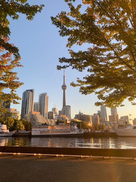 Toronto Sunset Aesthetic, Live In Canada Aesthetic, Living In Toronto Canada, Toronto Canada Photography, Canada Aethstetic, Canada Ontario Aesthetic, Toronto Astethic, Canada Core Aesthetic, Summer Canada Aesthetic