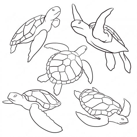 Premium Vector | Set of hand drawn turtle Cute Turtle Drawings, Turtle Sketch, Sea Turtle Drawing, Ocean Drawing, Turtle Quilt, Turtle Drawing, Sea Turtle Art, Turtle Tattoo, Turtle Painting