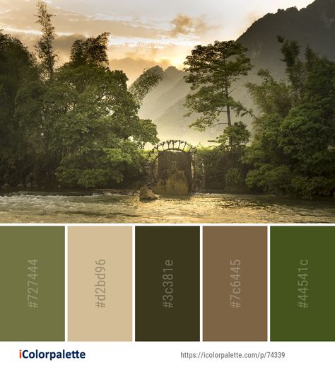 Color palette theme related to bank, Color Palettes from Images, landscape, morning, nature, reflection, river, sky, tree, vegetation, water, . Download color palette as Pdf, Adobe swatch and more. Color Palette Forest Nature, Landscape Design Color Palette, Colour Palette Landscape, Landscape Colour Palette, Tropical Forest Color Palette, Outdoor Colour Palette, Landscaping Color Palette, Green Nature Color Palette, Forest Pallete