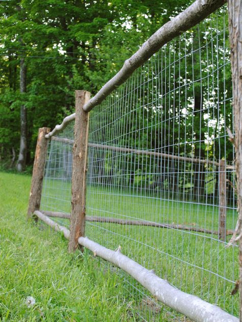 Backyard Fence Ideas For Dogs, Fence Ideas For Dogs, Backyard Fence Ideas, Rustic Garden Fence, Diy Gate, Tor Design, Easy Fence, Ideas For Dogs, Decorative Garden Fencing