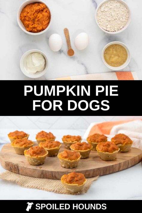 Dog Mini Pumpkin Pies, Dog Safe Pumpkin Pie, Mini Dog Pumpkin Pies, Doggie Pumpkin Treats, Pumpkin Pie For Dogs Recipes For, Dog Sweet Potato Pie, Mini Pumpkin Pie For Dogs, Thanksgiving Dog Treats Easy, Pumpkin Pie Recipe For Dogs