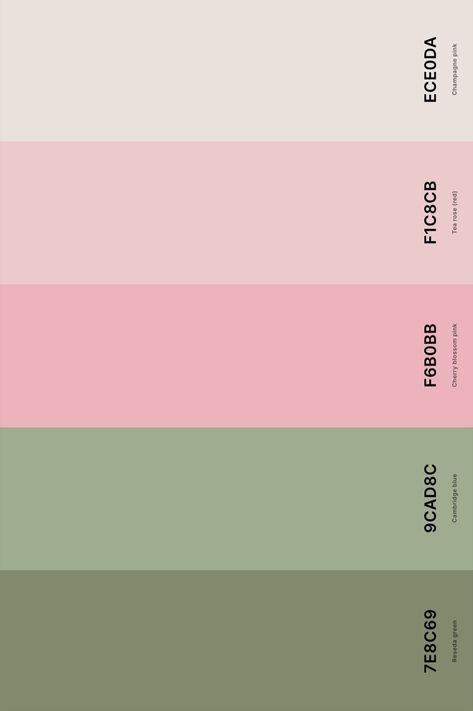 Color Pallettes Aesthetic Pastel, Paint Swatches Aesthetic, Pink Green Colour Palette, Pastel Green Colour Palette, Pink Green Pastel Color Palette, Green Pink And White Color Palettes, Green Pink Pallet Color, Pink Green Beige Colour Palette, Pastel Pink And Green Palette