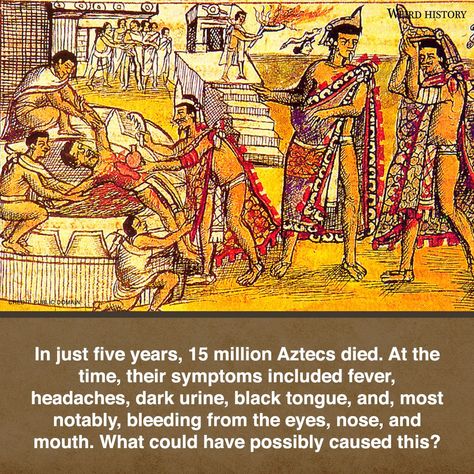 For hundreds of years, history left us wondering what disease killed the Aztecs in the mid-1500s. Many assumed the Aztecs were one of many Central American groups to be wiped out by European diseases like smallpox. However, DNA testing has unearthed new evidence about what really killed 80% of the Aztecs. Scientists extracted DNA from Aztec teeth, and discovered the presence of a strand of S... #aztecs #mysterydisease #dna #salmonella #epidemic #historicalresearch #climatechange #spanishinvasion Black Tongue, Feathered Serpent, Aztec Empire, The Aztecs, Dna Sequence, Scientific Discovery, Just Now, Wipe Out, Dna Test