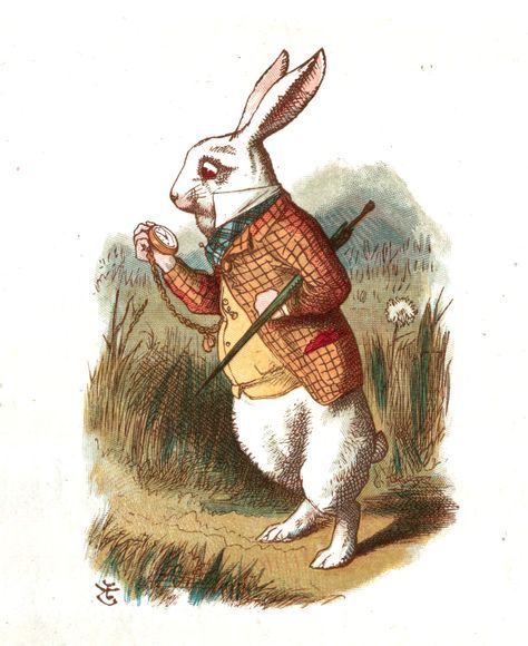 alice in wonderland illustrations colour - Google Search White Rabbit Alice In Wonderland, Easter Bunny Pictures, Alice In Wonderland Vintage, Alice In Wonderland Illustrations, John Tenniel, Rabbit Illustration, The White Rabbit, White Rabbits, Vintage Rabbit