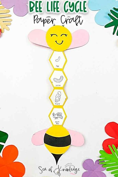 Life Cycle Of A Bee Free Printable, Bee Learning Activities For Kids, Life Cycle Crafts For Preschoolers, Bee Projects For Kids, Honey Bee Crafts For Kids, Life Cycle Crafts For Kids, Life Cycle Of Honey Bee, Bee Life Cycle Craft, Life Cycles Preschool Activities