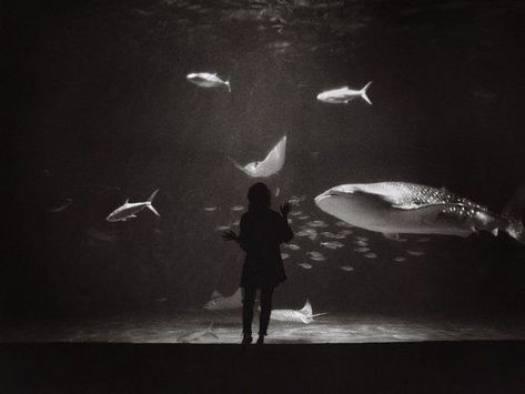 Photography Japan, Medium Format Film, Black And White Photo Wall, Japanese Photography, Diane Arbus, Cindy Sherman, Alfred Stieglitz, 35mm Photography, Film Photography 35mm