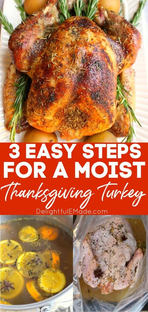 The Best Thanksgiving Turkey, Easy Turkey Recipes Thanksgiving, Turkey Rub Recipes, Cooking Thanksgiving Turkey, Best Thanksgiving Turkey, Easy Thanksgiving Turkey, Best Thanksgiving Turkey Recipe, Easy Turkey Recipes, Moist Turkey