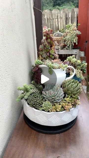 Cactus Arrangements Ideas, Succulent Zen Garden, Succulent Arrangements Indoor, Succulent Arrangements Outdoor, Succulent Garden Design Pots & Planters, Succulent Arrangements Fairy Garden, Ricky Ricardo, Diy Succulents Centerpiece Pots & Planters, Succulent Arrangements Diy