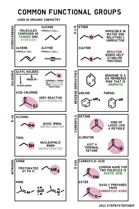 Names and structures of common functional groups found in organic molecules. Functional Groups Organic Chemistry, Organic Chemistry Cheat Sheet, Organic Chemistry Notes, Organic Reactions, Organic Chem, Organic Chemistry Study, Chemistry Posters, Chemistry Study Guide, Chemistry Basics