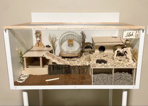 Diy Hamster Cage, Hamster Cage Ideas, Hamster Bin Cage, Hamster Diy Cage, Ikea Linnmon, Gerbil Cages, Mouse Cage, Hamster Diy, Hamster Life