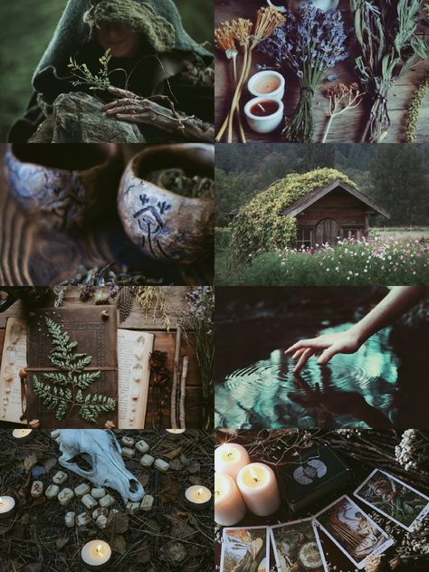 Eclectic Witch Aesthetic, Hedge Witch Aesthetic, Forest Witch Aesthetic, Green Witch Aesthetic, To Be A Witch, Tarot Aesthetic, Be A Witch, Nature Witch, Witch Core