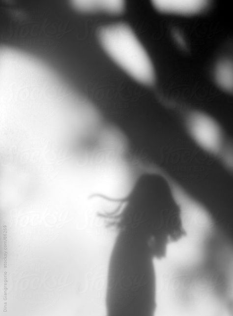 Shadows On The Wall, Shadow On Wall, Nell Crain, Interesting Silhouettes, Silhouette Aesthetic, Tree Shadow, Shadow People, Shadow Silhouette, Shadow Photography