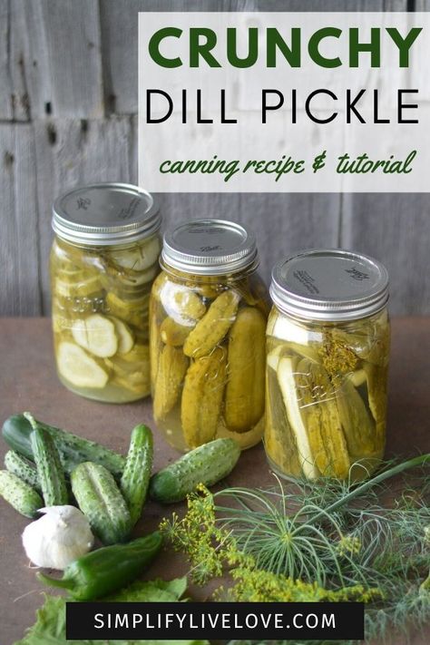 Canned Cucumbers, Canning Tutorial, Steam Canning, Pickles Canning, Crunchy Pickles, Canning Peppers, Garlic Dill Pickles, Homemade Pickles Dill, Dill Pickle Recipe