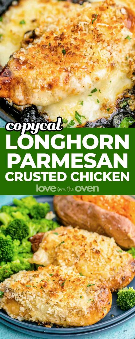 Gluten Free Recipes Chicken Easy Dinners, Chicken Alfredo Parmesan Crusted Chicken, Parmesan Crusted Chicken Alfredo, Parmesan Crusted Chicken Sides, Copycat Longhorn Parmesan Crusted Chicken, Longhorn Parmesan Chicken, Pablo Crusted Chicken, Award Winning Recipes First Place, Copycat Longhorn Parmesan Chicken