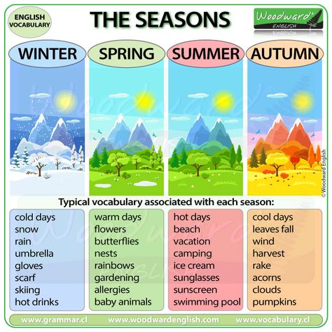 Woodward English, English Winter, Seasons Name, Summer Vocabulary, Spring Vocabulary, Whats In Season, English Lessons For Kids, English Activities, Different Seasons