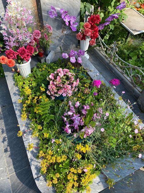 Flowers On Grave Aesthetic, Grave Stone Aesthetic, Flowers On Grave, Grave With Flowers, Graveyard Garden, Graveyard Flowers, Gravestone Flowers, Winter Budapest, Enhypen Pic