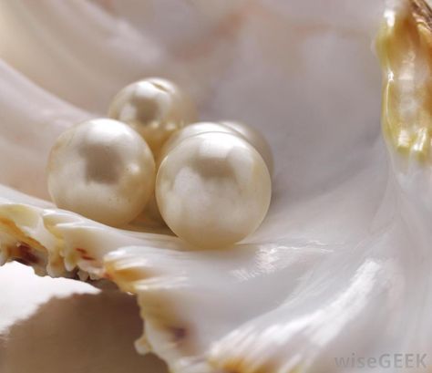 The differences between natural and cultured pearls are that cultured pearls are formed in oysters after humans implant a nucleus... Stile Boho Chic, Oyster Pearl, Beige Aesthetic, Pearl Shell, June Birth Stone, Aphrodite, Precious Gemstones, Black Pearl, Baroque Pearls