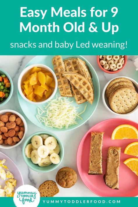 Easy Meals and Snack Ideas for 9 Month Old and Up. This cheat sheet of nutritious food ideas makes feeding your 9-12-month-old babies easy and gives them the essential nutrition for growing that they require. Find all sorts of solid baby food ideas here from breakfast ideas to baby lunch recipes, healthy dinners, and everything in between. Baby Led Weaning and more including fresh fruit and veggies. Things To Feed 9 Month Old, Daycare Lunch Ideas For 9 Month Old, Snacks 9 Month Old, Finger Foods For 11 Month Old Baby, Easy Meals For Infants, 11 Month Food Ideas, Baby Food Recipes 9 Months, What To Feed My 10 Month Old, Food Ideas For 8 Month Old