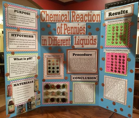 Chemical reaction of pennies science project Penny Science Fair Project, Science Project Poster, Flowchart Ideas, Plant Science Fair Projects, Science Fair Topics, Biology Science Fair Projects, Winning Science Fair Projects, High School Science Fair Projects, Science Fair Poster