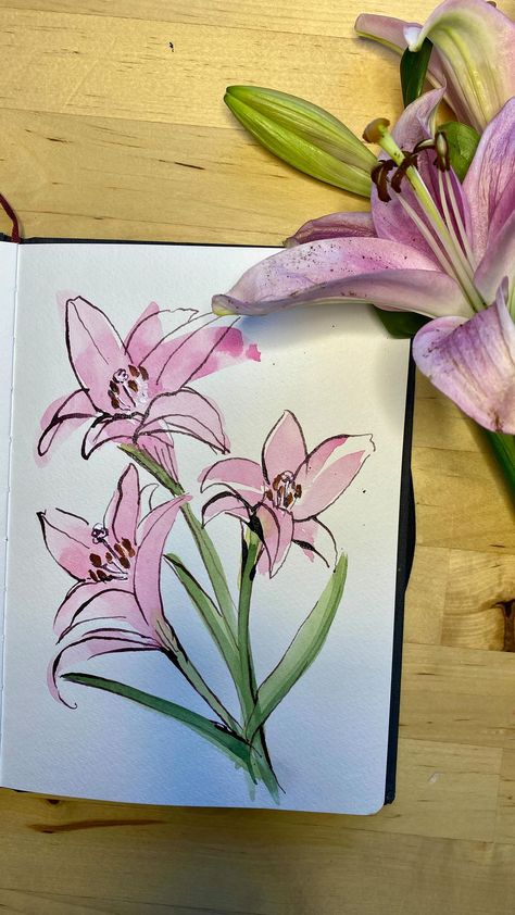 A quick watercolor and ink sketch of some pink lilies leftover from a little Easter bouquet. It is always a gift to myself to paint…even… | Instagram Ink Drawing Watercolor, Flower Sketches Watercolor, Watercolor Art Ideas Flowers, Ink And Watercolor Art Flowers, Mother’s Day Card Drawing, Watercolor Art Advanced, How To Draw A Bouquet Of Flowers, Lilies Flowers Drawing, Quick Watercolor Paintings