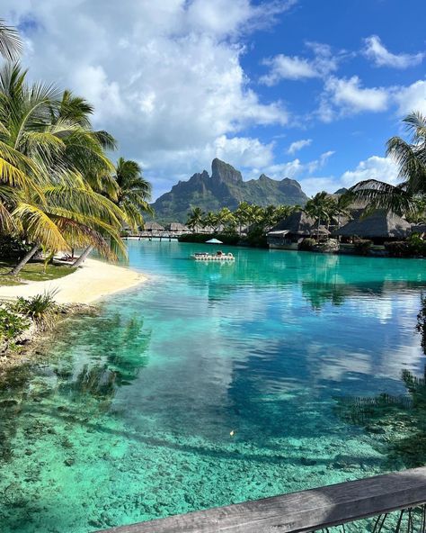 #borabora #vacay Bora Bora Vacation, Trip To Bora Bora, Bora Bora Island, Bora Bora Honeymoon, Bora Bora French Polynesia, Exotic Beaches, Dream Vacations Destinations, Exotic Places, Vacation Places