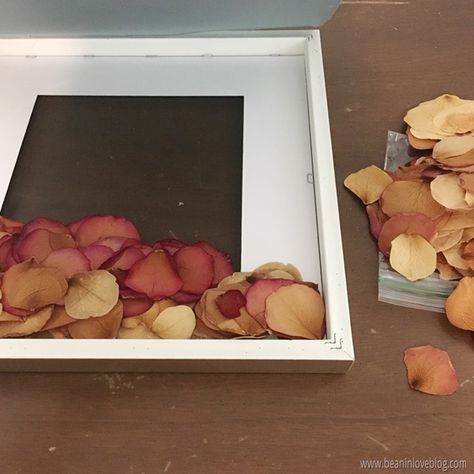 IMG_1170 Pressed Rose Petals, Dry Rose Petals, Dry Rose, Diy Shadow Box, God Made You, Dirt Cheap, Single Rose, Joann Fabrics, Frame Crafts