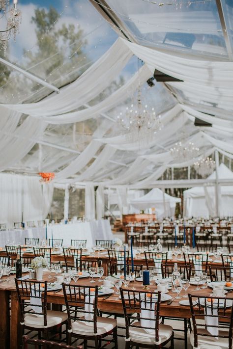 Clear Top Tent Wedding, Clear Top Tent, Become A Wedding Planner, Event Planers, Harvest Tables, Wedding Planner Career, Tent Decor, Winnipeg Wedding, Events Place