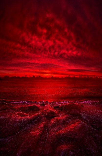 More Than A Memory | Flickr - Photo Sharing! Absolutely breathtaking !!!! Dark Red Wallpaper, Red Pictures, Red Walls, Red Art, Red Sky, Aesthetic Colors, Red Wallpaper, Red Aesthetic, Aesthetic Grunge