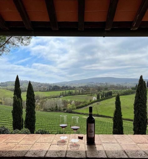 Good Vibes Only✨ on Tumblr Money Luxury Aesthetic, Red Wine Aesthetic, Old Money Luxury, Italy Countryside, Wine Aesthetic, Money Luxury, Italy Home, Tuscany Villa, Italian Lifestyle