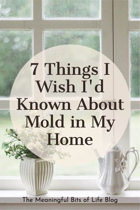 When my husband and I moved out of our last home, a rental house, I cleaned toxic mold. Lots of it. At that point, I knew hardly anything about mold, except that it looked gross. Old House Smells, Mold Prevention, House Mold, Toxic Mold, Cleaning Mold, Rental House, Mold Remover, Weekend Projects, Life Blogs