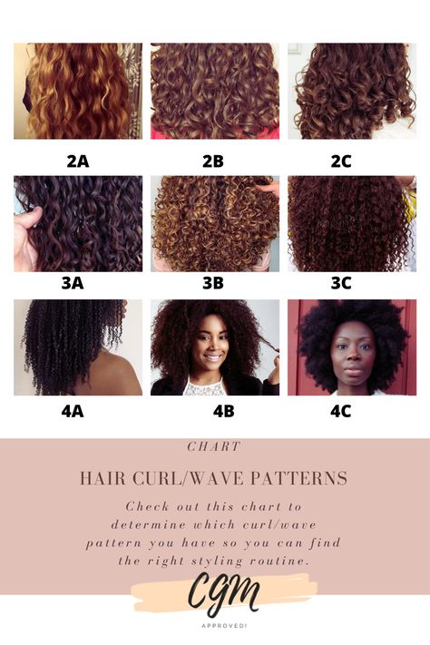 Type Of Curly Hair Chart, Curly Hair Texture Chart, Curl Levels Chart, Curly Hair Levels Chart, Curly Hair Chart Curl Pattern, Volume Vs Definition Curly Hair, Hair Curl Type Chart, Curly Hair Pattern Chart, Curly Hair Types Charts Curls