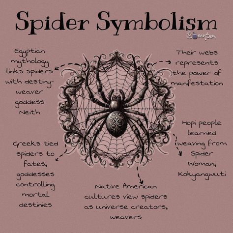 🕷️🕸️In some spiritual traditions, a spider crawling on you may be seen as a sign of good luck or fortune. This may be particularly true if the spider appears unexpectedly or in a place where spiders are not usually found. In addition to their symbolism and role in folklore, spiders also have spiritual meanings in many cultures. In some Native American cultures, spiders are seen as protectors and guardians of the home, while in Hinduism, spiders are associated with the third eye and the abili... Spiders Symbolism, Spirit Animal Spider, Animals And Their Symbolism, Spider Symbolism Meaning, Spider Spirit Animal Meaning, Omens Signs Symbols, Spider Spirit Animal, Spider Witchcraft, Spider Spiritual Meaning