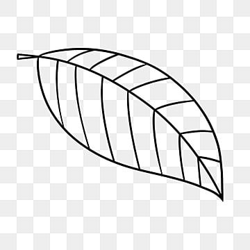 Simple Leaf Outline, Leaves Outline Drawing, Leaf Clipart Black And White, Spring Templates, Leaf Black And White, Black Clipart, Spring Template, Cartoon Leaf, Black And White Clipart