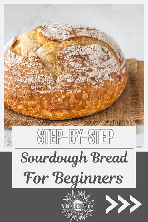 easy sourdough recipe for beginners Bread For Beginners, Homemade Sourdough Bread Recipes, Beginners Bread Recipe, Easy Sourdough Bread Recipe, Making Sourdough Bread, Homemade Baked Bread, Homemade Sourdough Bread, Sourdough Starter Recipe, Healthy Bread