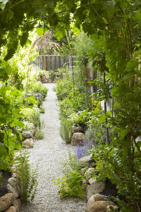 The New Vegetable Garden: 8 Favorite Edible Backyards - Gardenista Edible Gardens, Edging Plants, Star Apple, Potager Garden, California Garden, Garden Vines, Veg Garden, Side Garden, Home Vegetable Garden