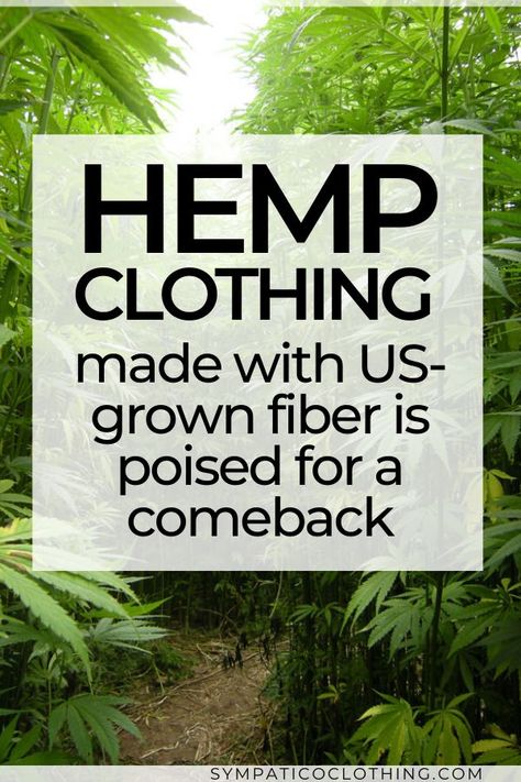 Hemp and linen could be grown and processed in the US, with the right tools and infrastructure.  Therefore, clothing made from hemp grown in the US may become a reality sooner than you thought possible. | Sympatico Clothing | #textiles #sustainable #hemp #ethicalfashion #ecofriendlyliving  #sustainablewardrobe Ikat Embroidery, Planet Clothing, Hemp Fashion, Hemp Plant, Attractive Clothing, Make Furniture, Hemp Clothing, Minimalism Lifestyle, Environmental Concerns