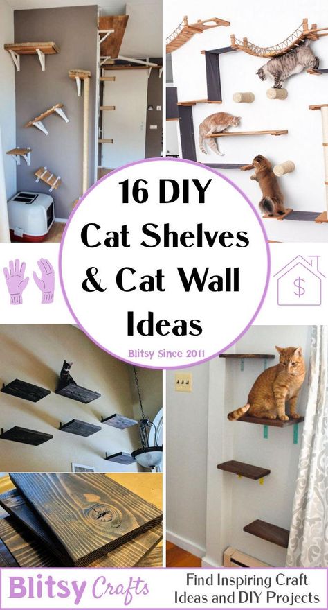 16 Creative DIY Cat Shelves and Cat Wall Ideas - Blitsy Cat Wall Diy Cheap, Rental Friendly Cat Shelves, Cat Scratching Post Wall, Easy Cat Shelves Diy, Wall Mounted Cat Bed Diy, Cat Play Wall Ideas, Catification Ideas Diy Apartment, Cat Vertical Space Diy, Diy Cat Wall Hammock