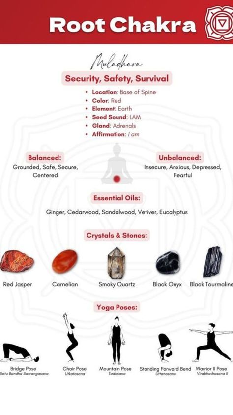 Embark on a journey of grounding and stability by connecting with your Root Chakra, represented by the vibrant red energy. Explore the essence of rooting down into your body and anchoring yourself in the present moment. 🌱 #RootChakra #RedChakra #Grounding #Stability #Mindfulness #BodyConnection #SpiritualJourney #ChakraAlignment #InnerStrength #SelfAwareness #GroundedLiving 🍃 Aesthetic Chakra, Chakra Aesthetic, Root Chakra Yoga, Chakra For Beginners, Red Chakra, Chakra Chart, The Root Chakra, Muladhara Chakra, Chakra Healing Meditation