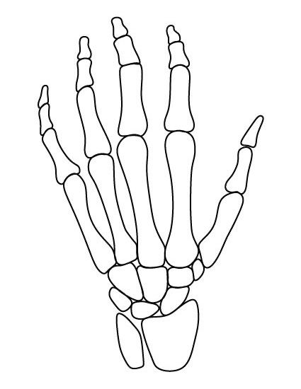 How To Draw Skeleton Hands On Paper, Skull Hand Stencil, How To Draw A Skeleton Hand On Paper, Skeleton Hand Tattoos Stencil, Skeleton Hand Stencil, Skull Hand Tattoo Stencil, Hand Skull Drawing, Skeleton On Hand Drawing, Skeleton Hand Drawing On Paper