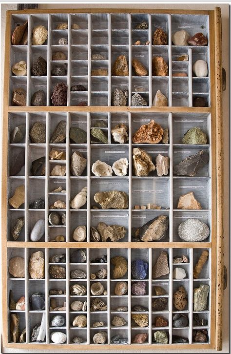 Rock Collection Drawer Rock Collection Display, Deco Nature, Printers Tray, Rock Collection, Minerals And Gemstones, Rocks And Gems, Display Design, Back To Nature, Shadow Boxes