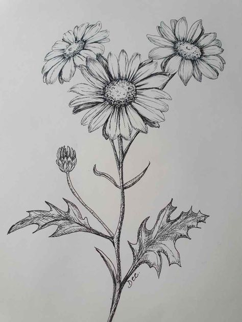 Flower Drawing Step By Step, Daisy Flower Drawing, Flower Drawing Ideas, Daisy Drawing, A Daisy Flower, Simple Flower Drawing, Easy Flower Drawings, Drawing Step By Step, Flower Drawing Tutorials