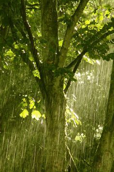 'Summer Rain' - Kate Reid | Fochabers Burn Bright Rainy Day Aesthetic, Happy Rain Aesthetic, Rainy Weather Photography, I Love Rain, Rain Storm, Love Rain, Singing In The Rain, Rainy Night, Summer Rain