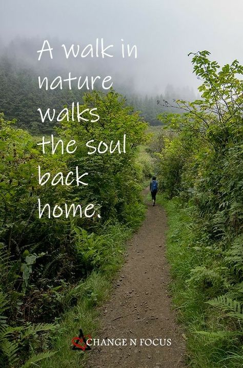 Spend Time In Nature Quotes, Nature Is Home Quotes, Beautiful Quotes About Nature, Back To Nature Quotes, Nature Inspired Quotes, Time In Nature Quotes, Nature Motivational Quotes, Peaceful Nature Quotes, Positive Nature Quotes Inspirational