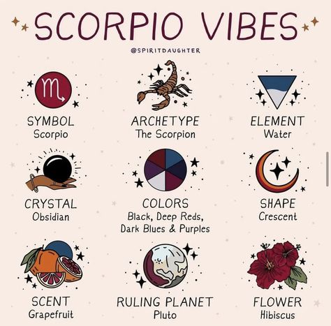 Astrology Watercolor, Zodiac Vibes, Spirit Daughter, Zodiac Quotes Scorpio, Scorpio Art, Astrology Scorpio, Zodiac Characters, Scorpio Zodiac Facts, Zodiac Signs Scorpio